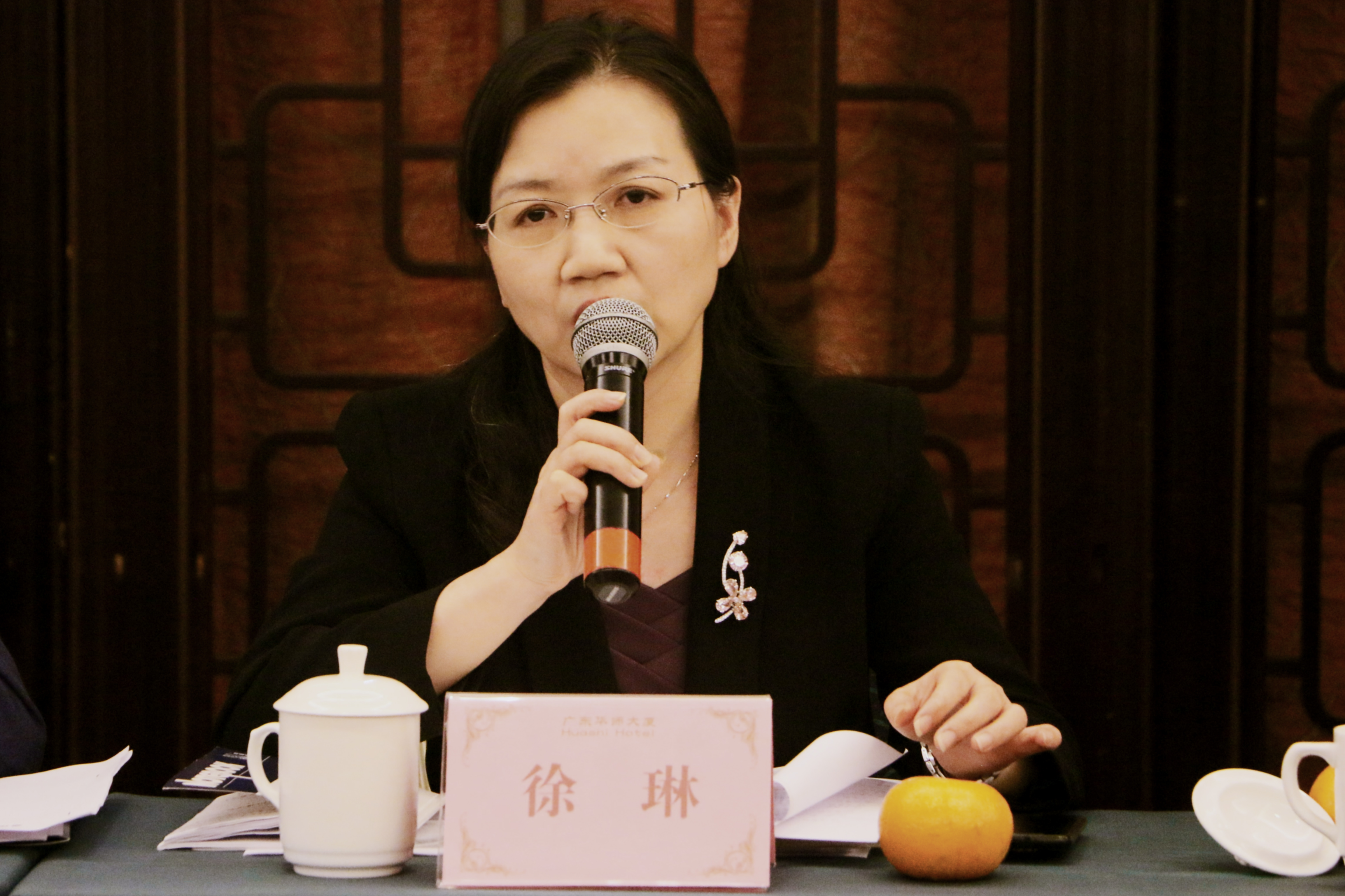 徐琳庭长作会议总结